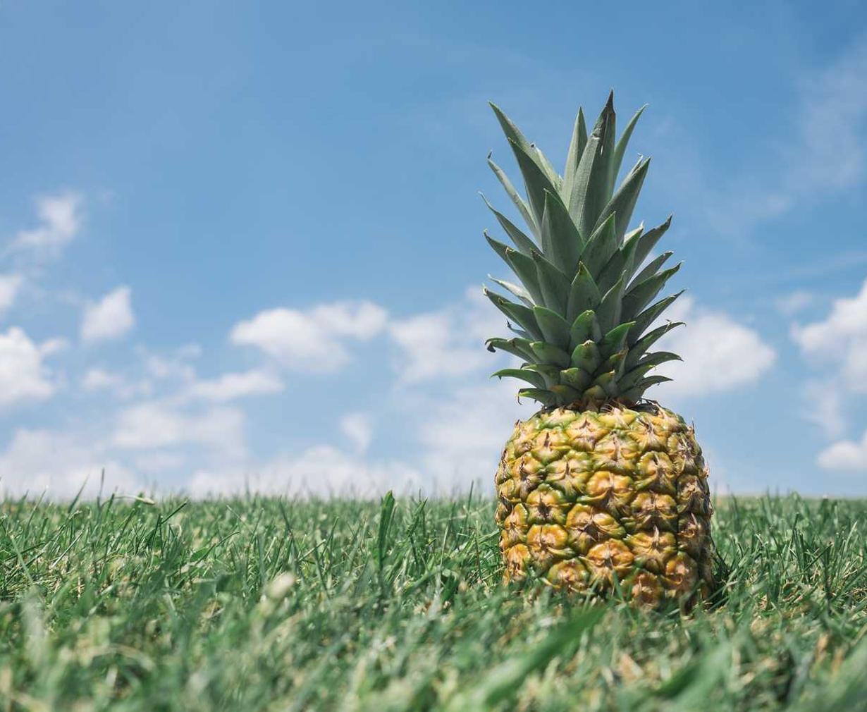 金牛3娱乐，注册|企业营销：如何选择合适的营销渠道