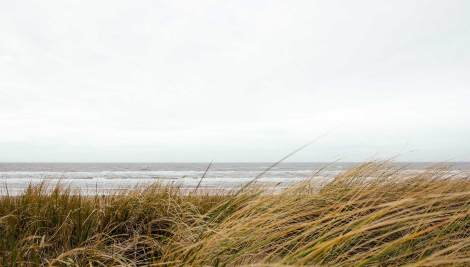 微信出售官网:二更app 详情下载教程