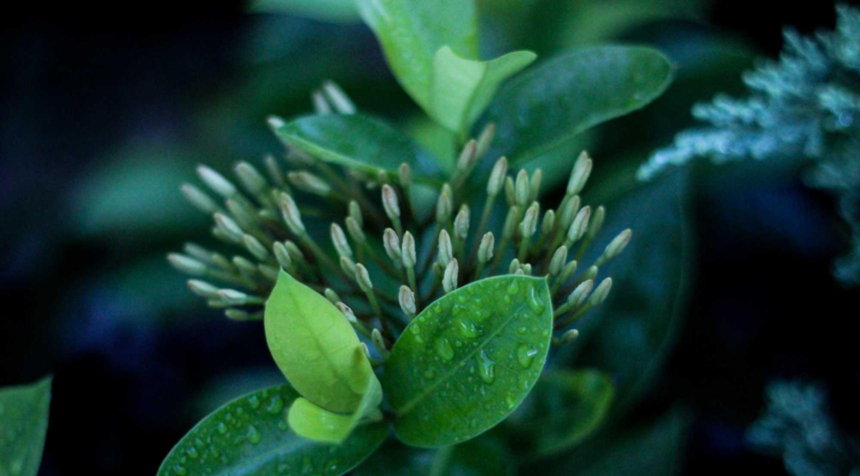 中国移动实名账号:实名认证账号在网络招聘中的作用