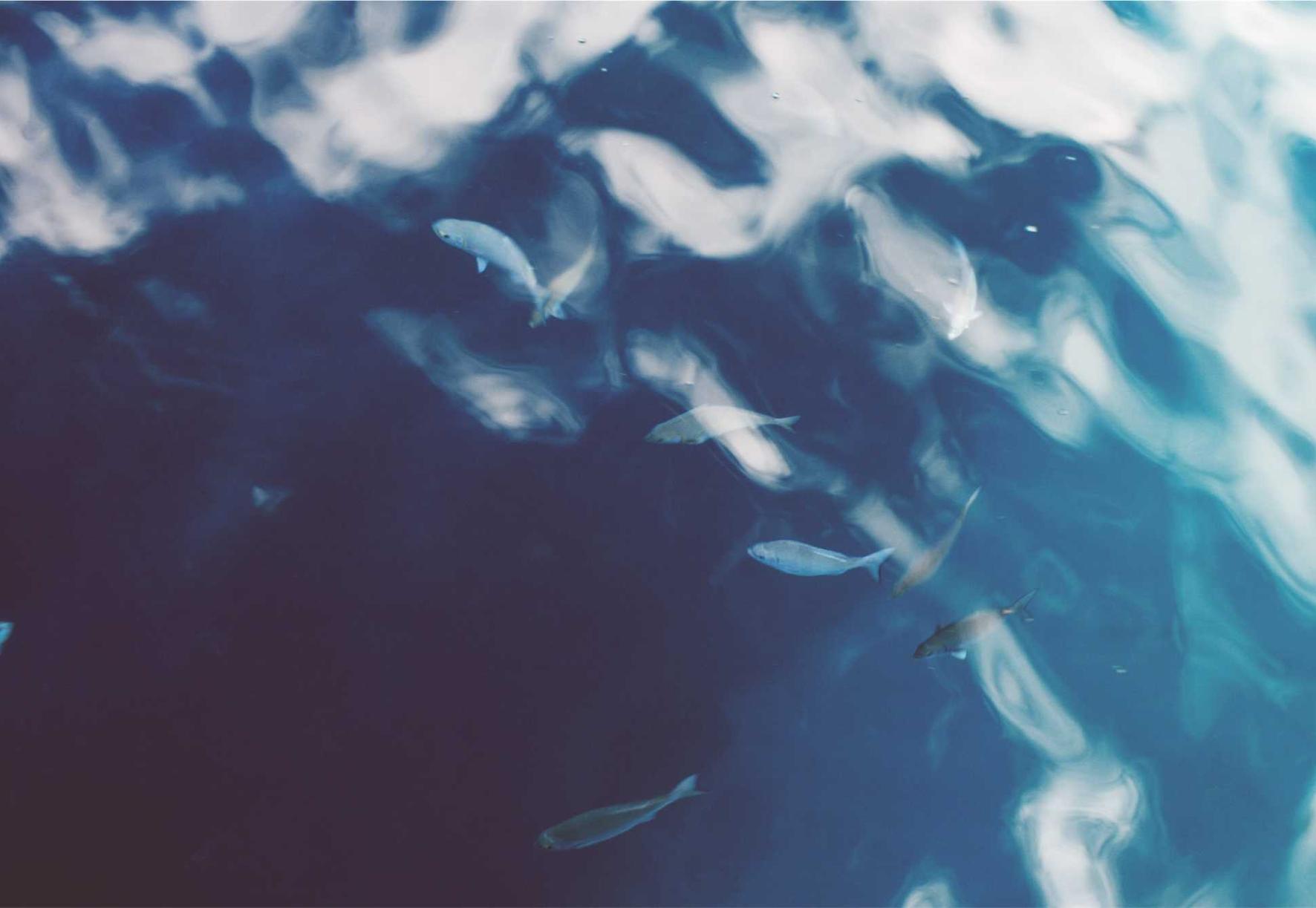 热血武林:app怎么详情下载教程大于100m