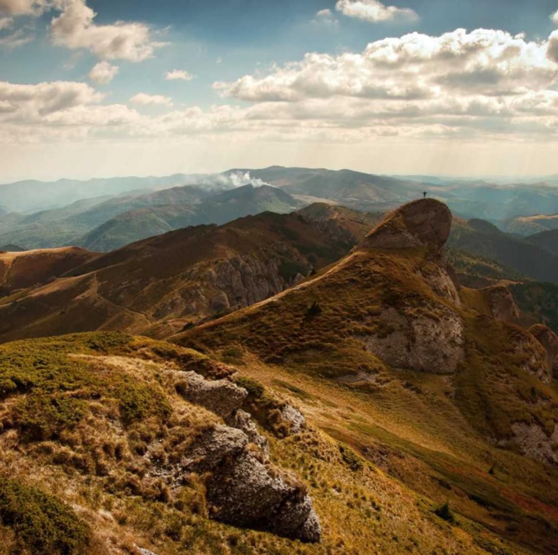 美团实名账号:流量卡有哪些附加服务和功能?