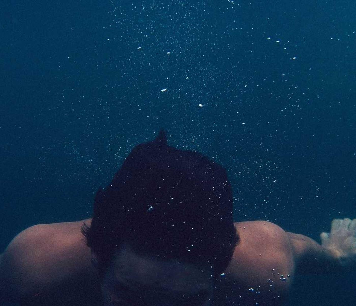 红梅花王:仙剑游戏详情下载教程app