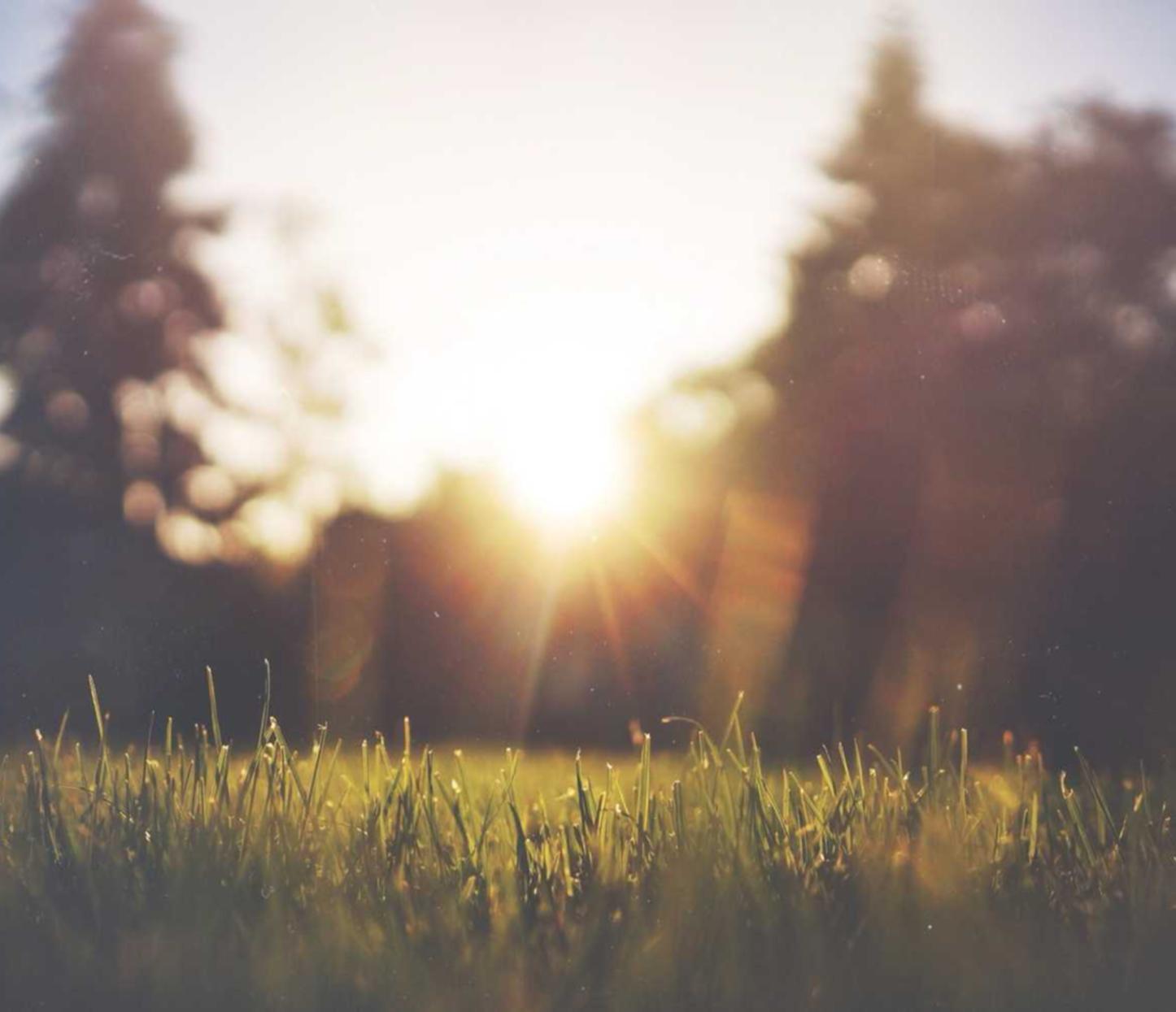 罗密欧1号（15支）（5盒）：医疗平台开户流程图