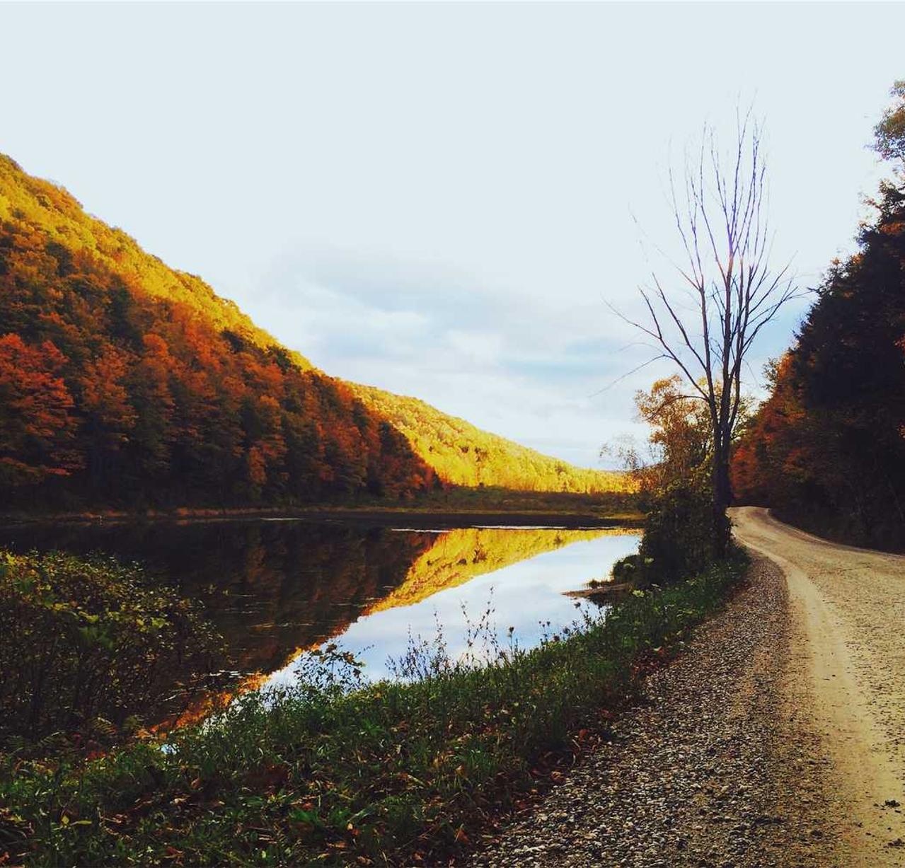 蜂巢互联实名账号:代理申请注册商标