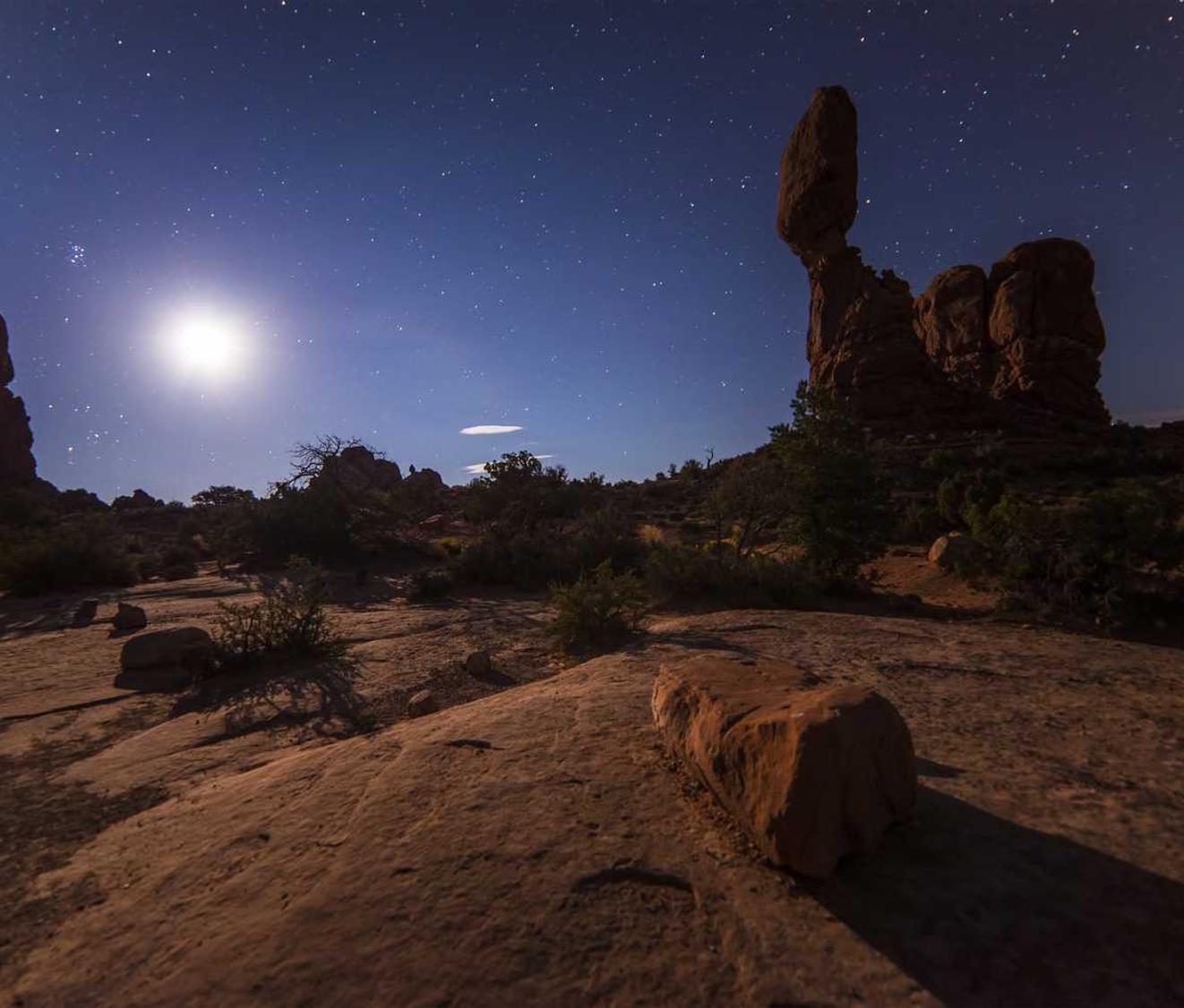 中医家app详情下载教程