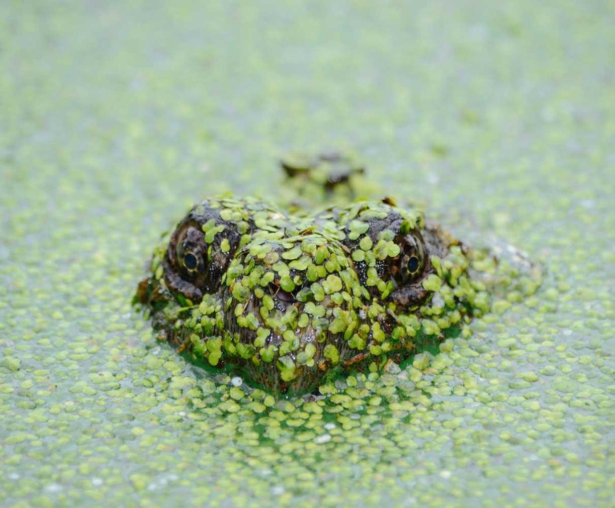 币安实名账号：番茄贷款app详情下载教程