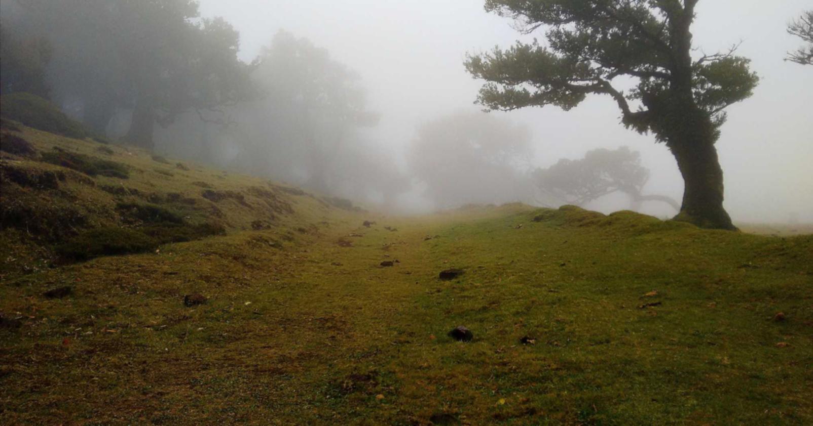 物语云实名账号：手机google注册账号