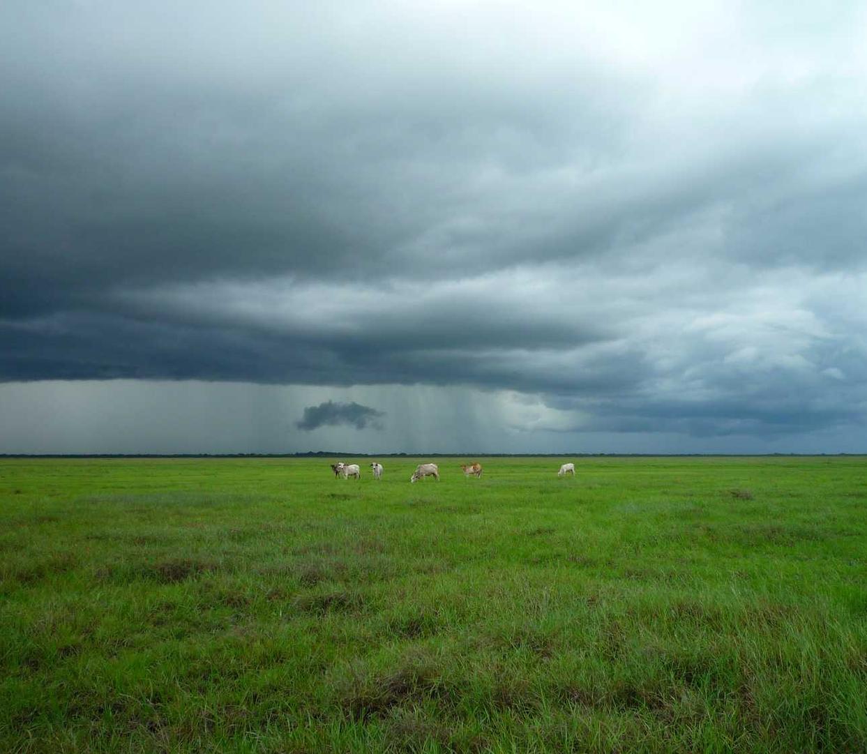 短信轰炸源码实名账号：实名制下，网络教育平台如何保证课程质量