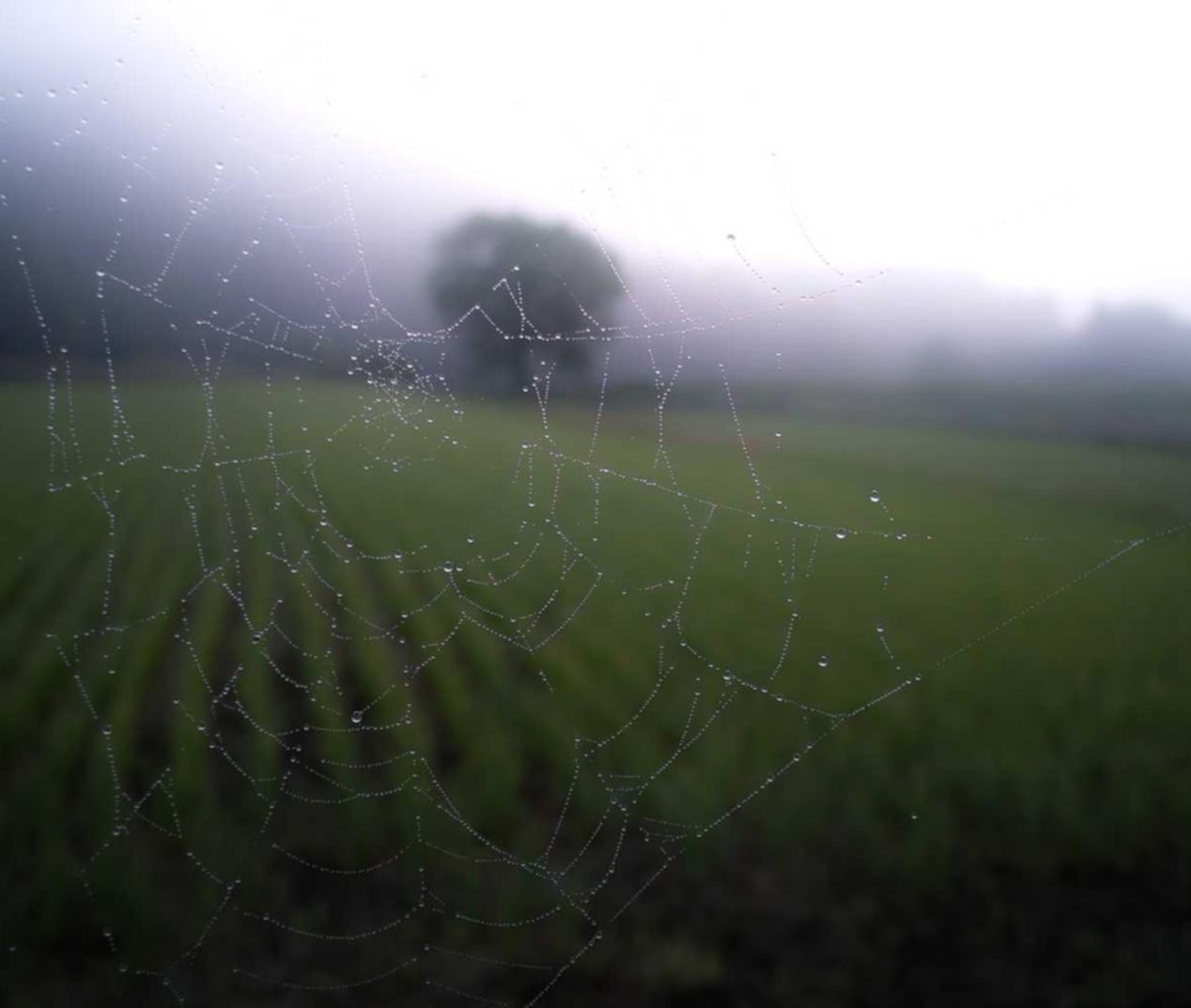 阿拉德之怒:嘉盛开户用哪个平台