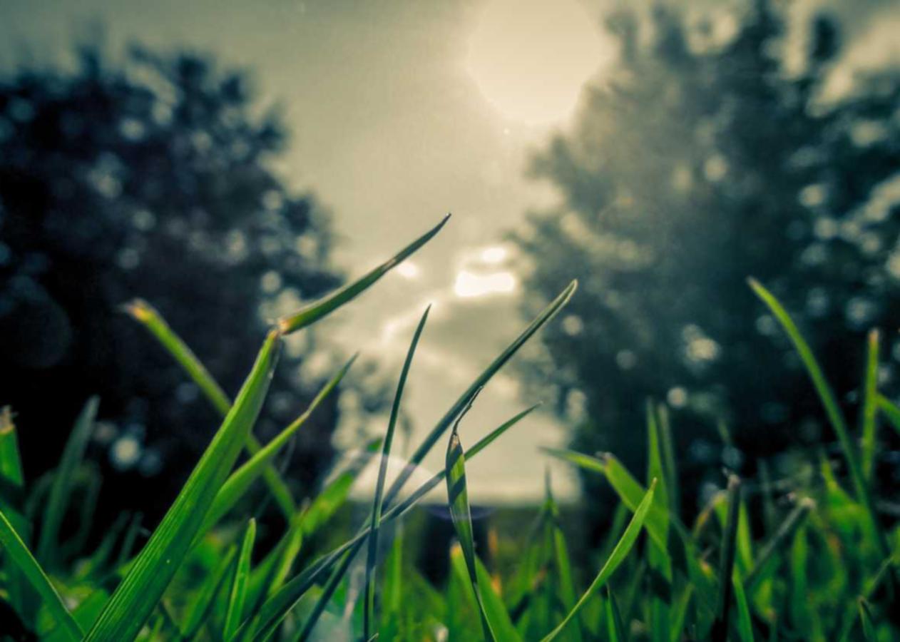 天火娱乐，注册|企业如何建立持久的客户关系？