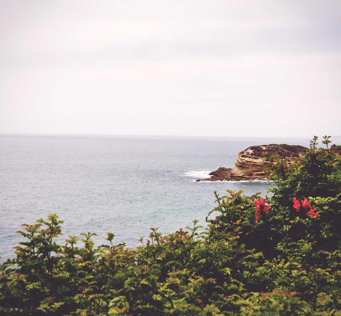 出口荷花（软）：淘股吧可以注册几个账号