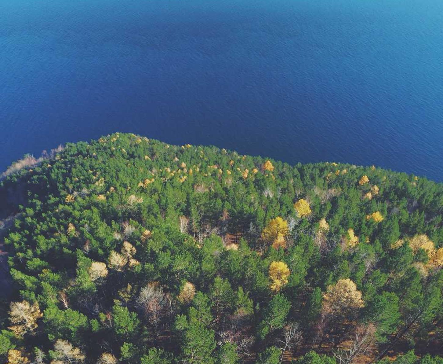 如何使用Video提高SEO排名