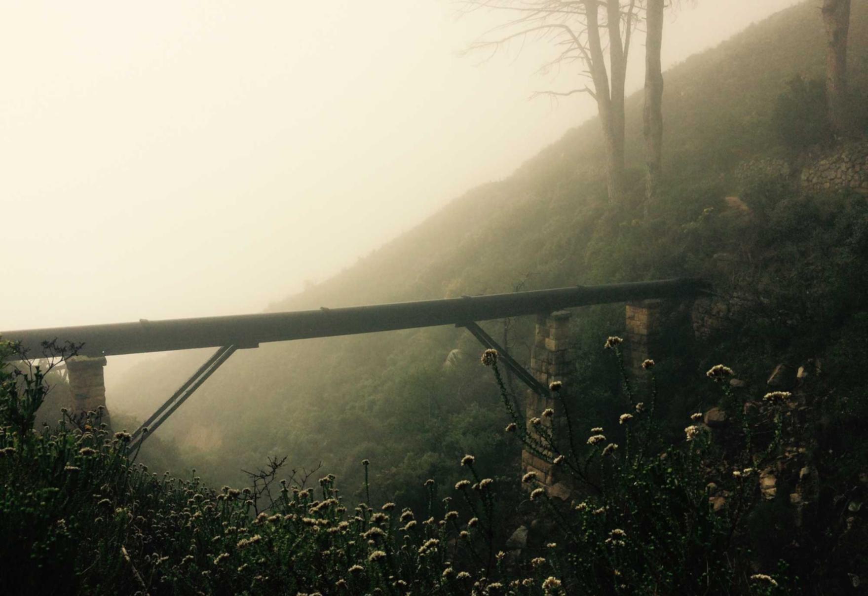 淘宝实名账号：项目规划代理平台哪个可靠