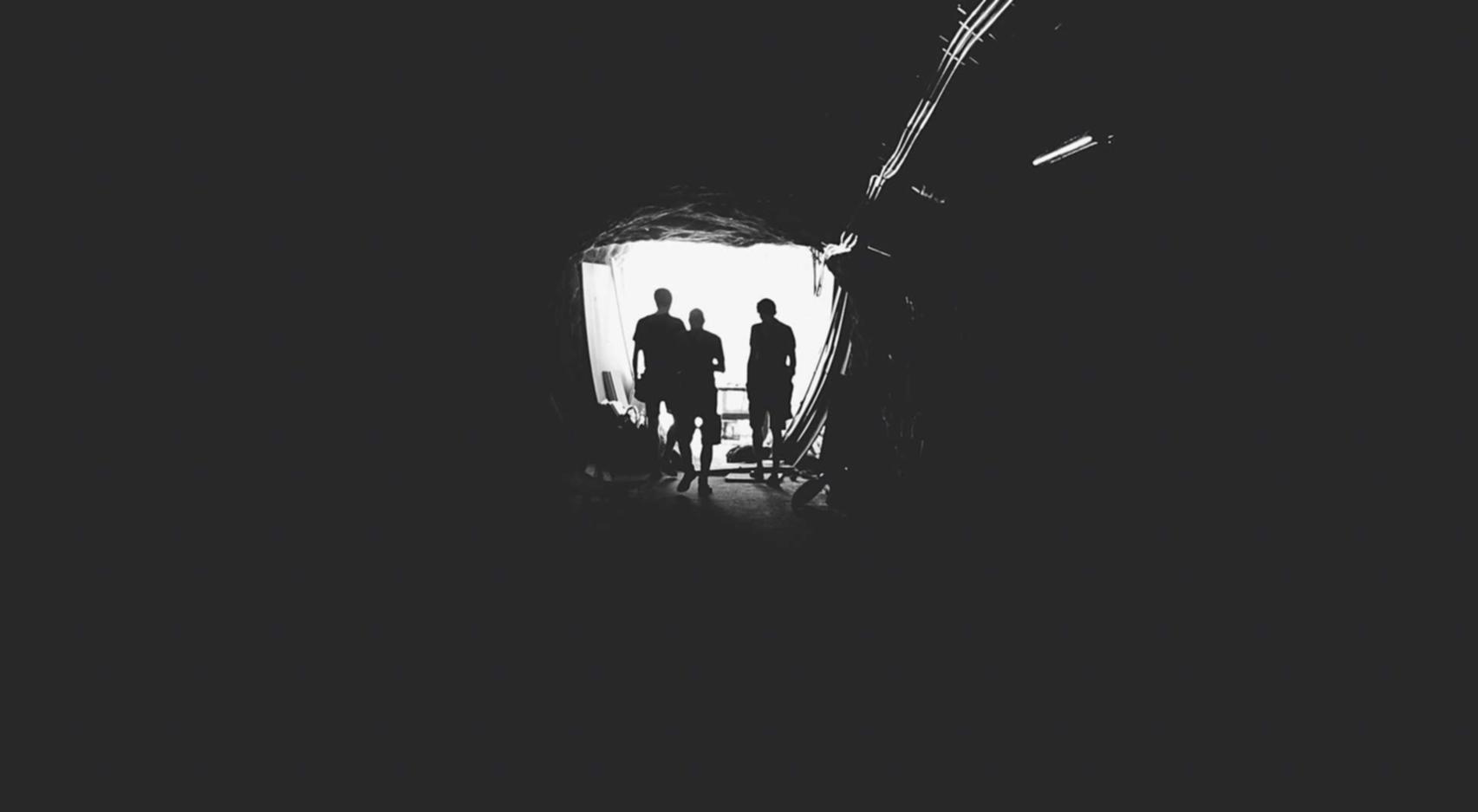 蜂鸟助手app详情下载教程