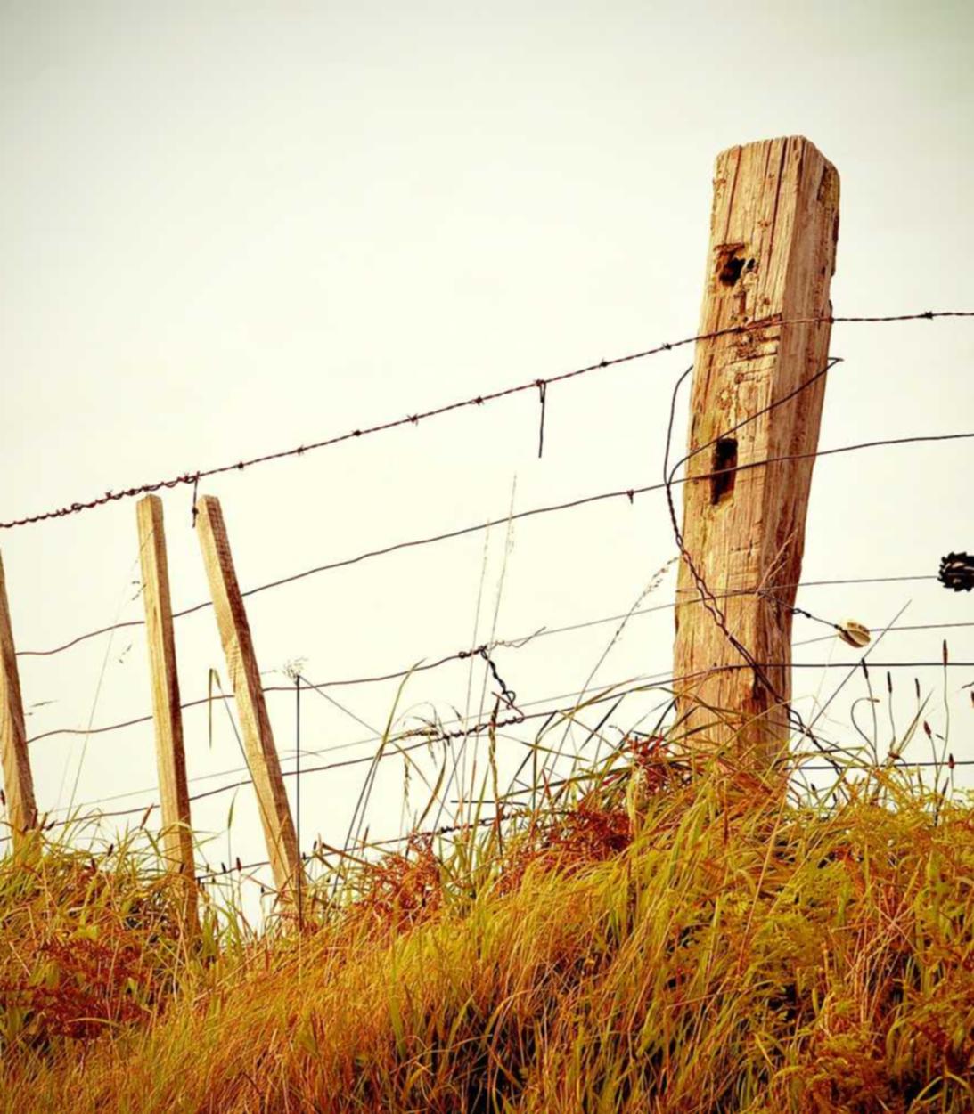 葫芦兄弟：七子降妖：代理注册公司 广州上海