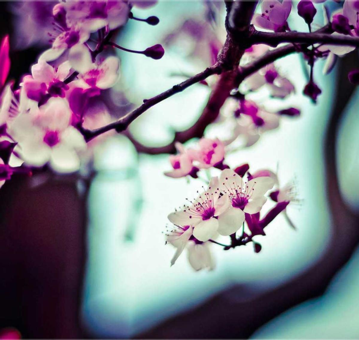 天翼云实名账号:好的营销系统代理项目平台