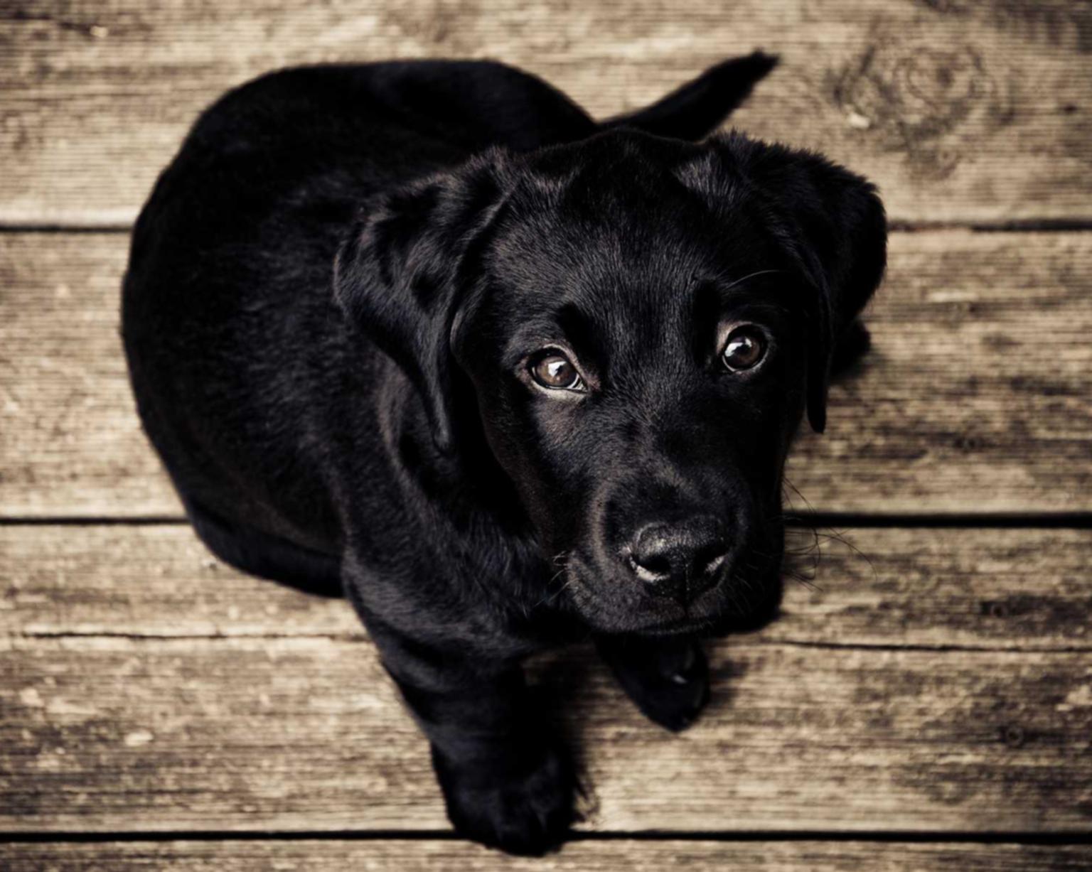 短信营销：如何避免被当作垃圾短信