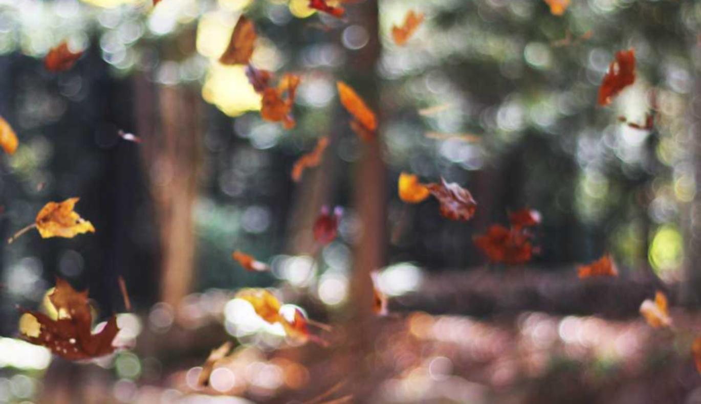 如何修复您网站的技术性问题以提高SEO效果