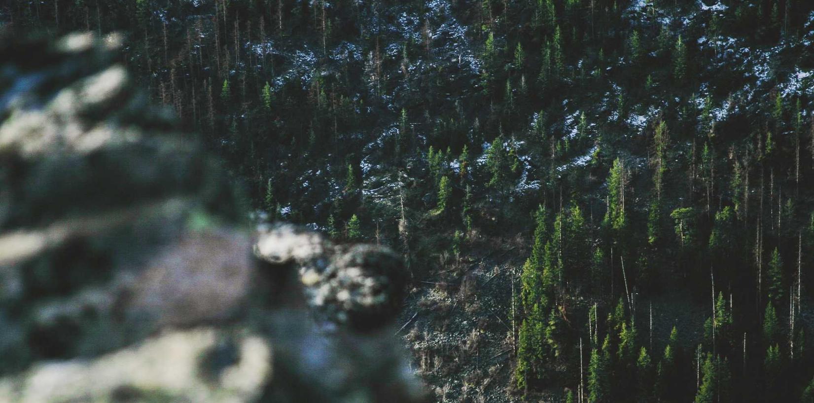 V粉卡实名账号:怎样能成为电商平台代理