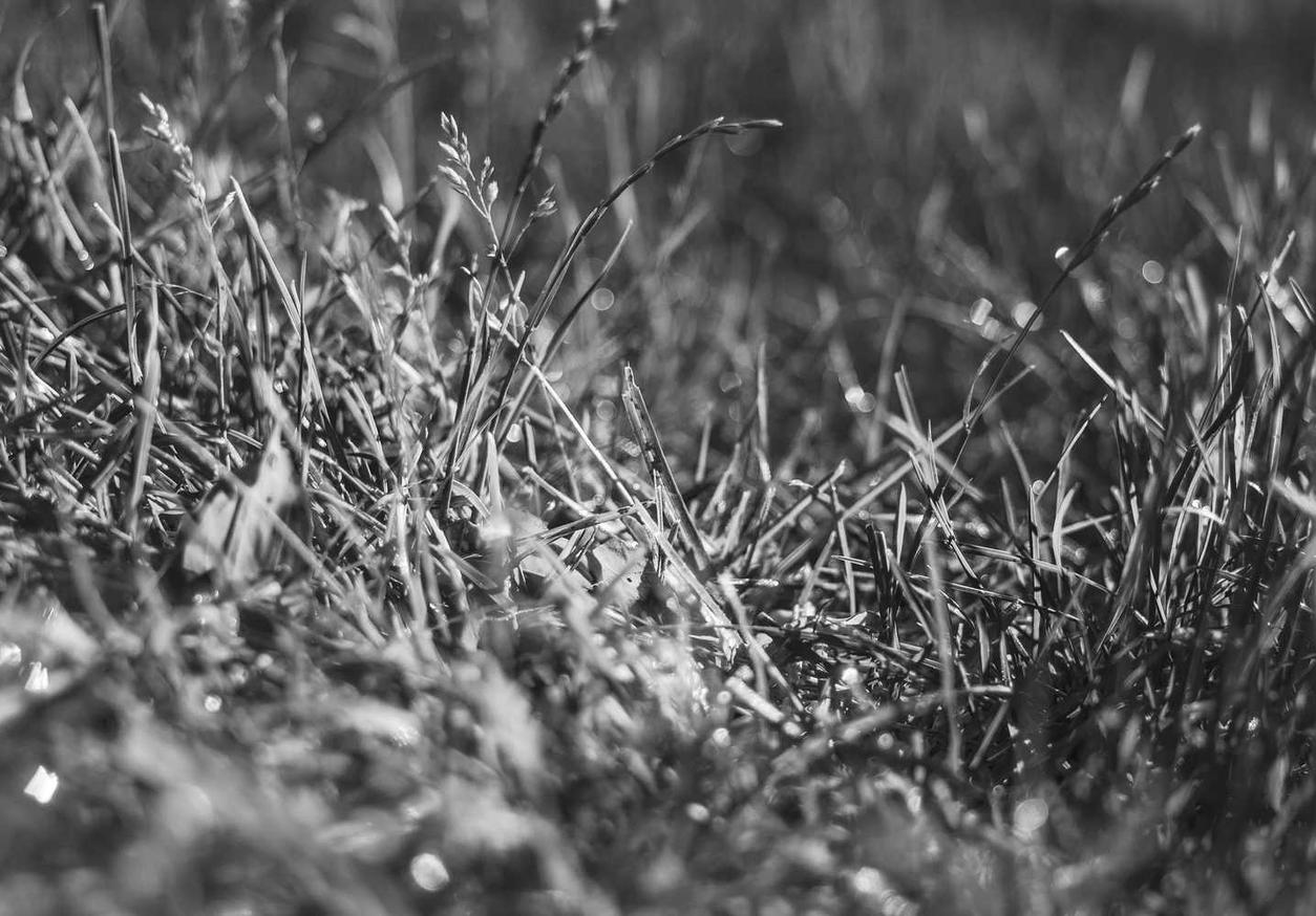 短信营销中如何运用用户数据