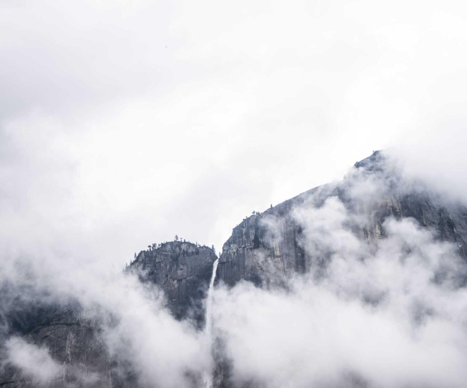 闲鱼实名账号:礼服购买平台