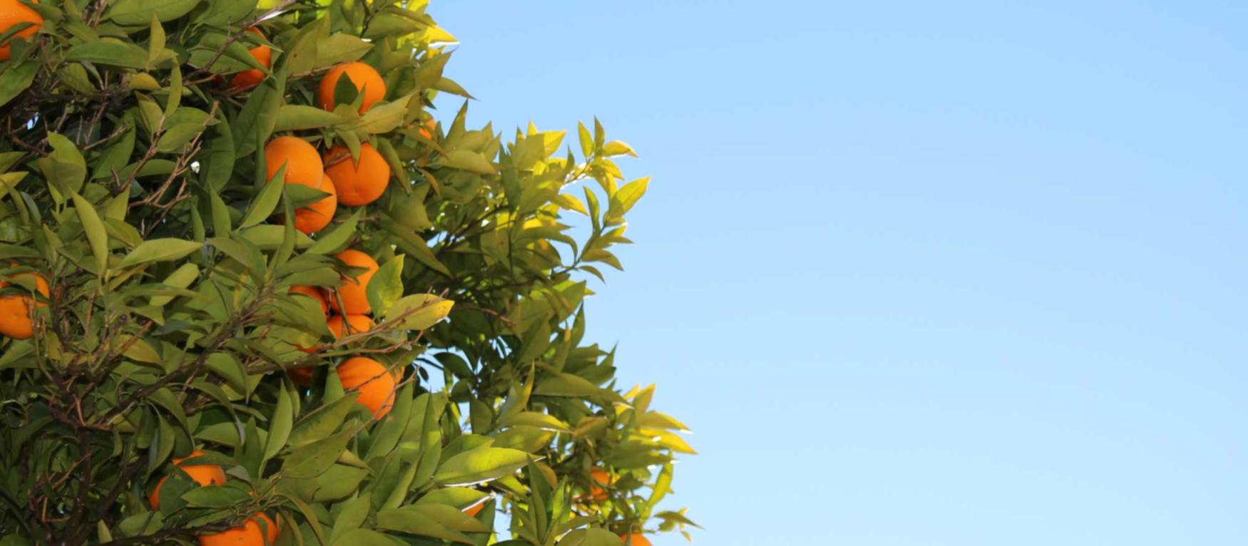 正规代理企业注册