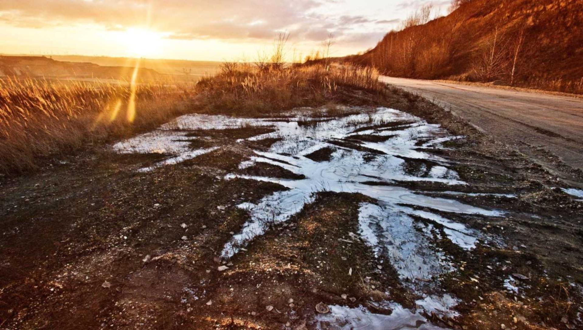 在短信营销中使用问卷调查