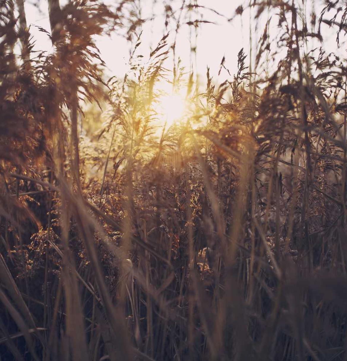 出售微信号码:短信营销:如何不被视为垃圾邮件