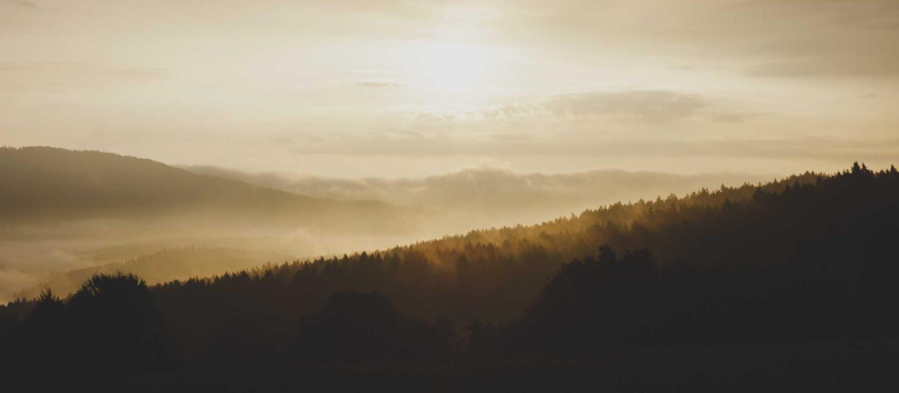 恒宏如何利用网红进行营销推广?