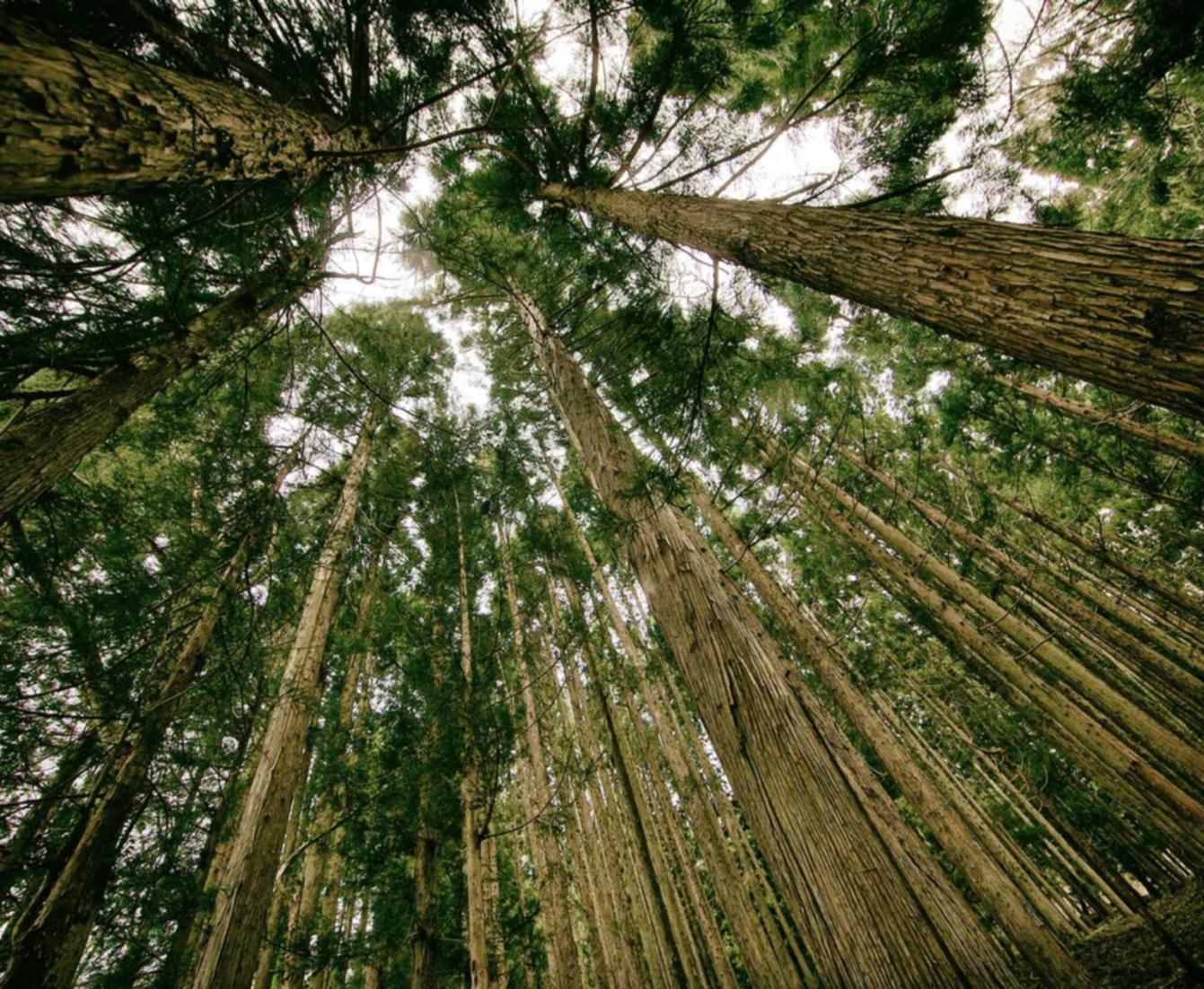 星辰变wegame版辅助- 魔兽世界新手如何注册账号