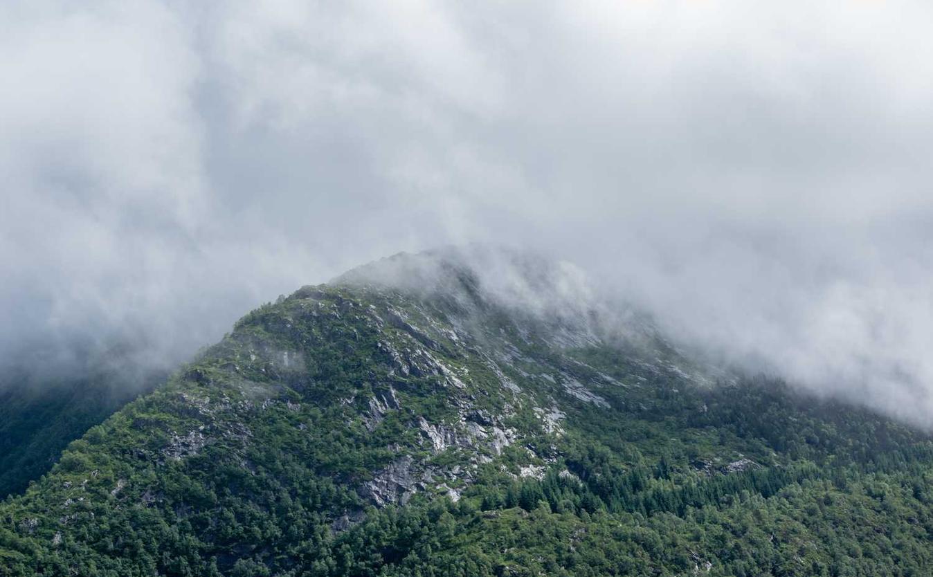 香烟对口腔癌的影响
