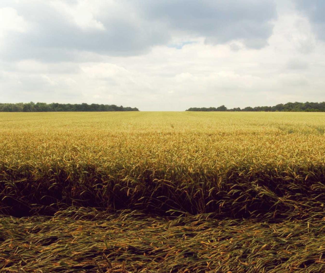 电信实名手机卡- 黎明杀机官网注册不了账号