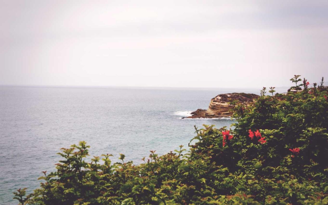 宝塔实名账号:假面骑士购买平台