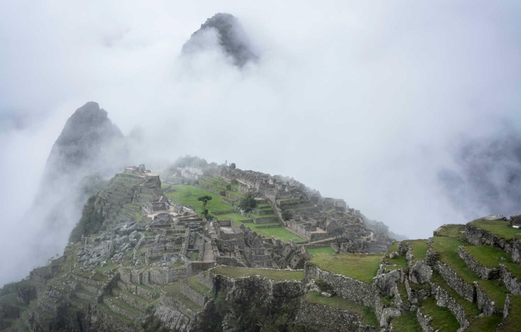 哈利波特:魔法觉醒:瑞安注册代理会计