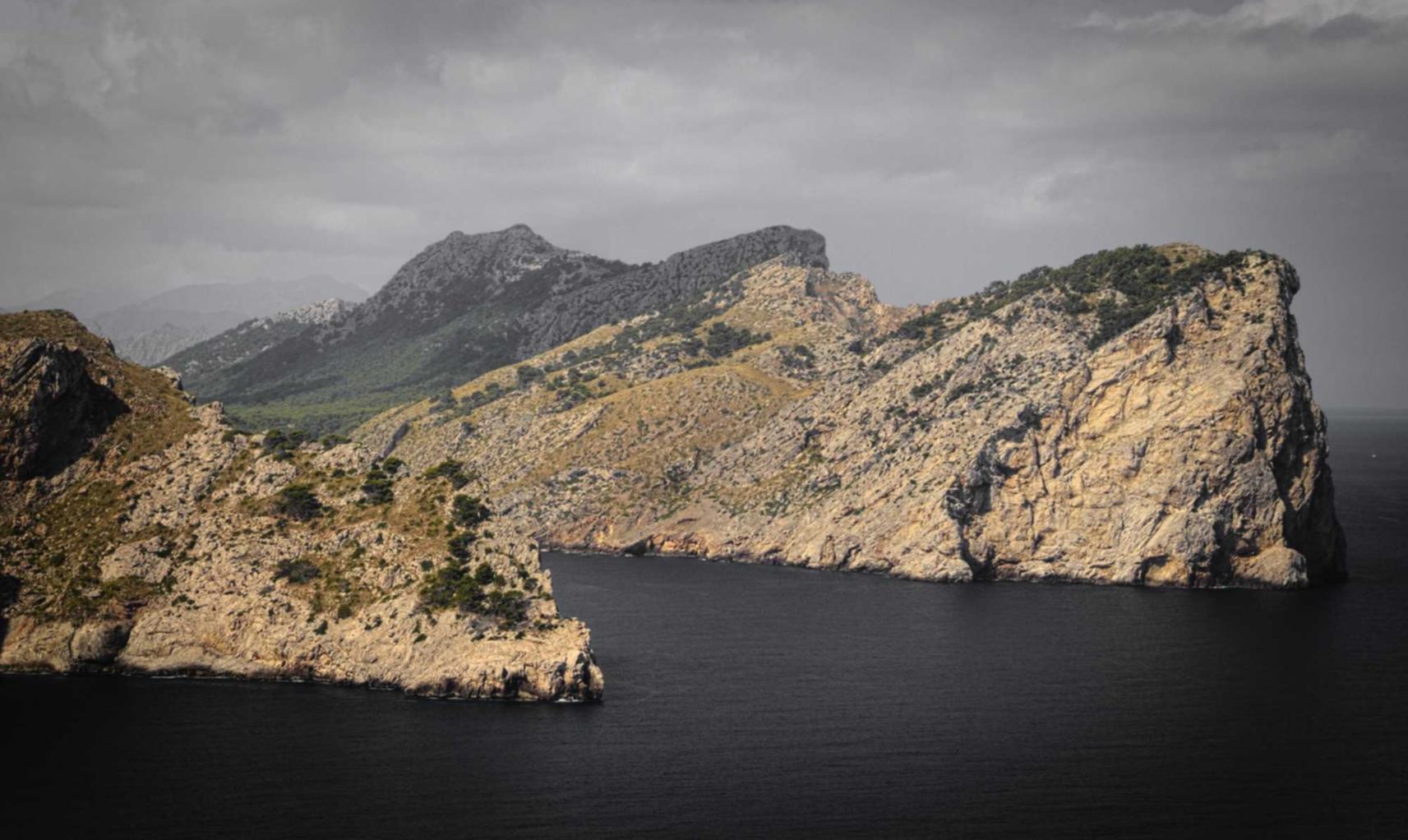 杏鑫如何在企业营销中使用免费赠品和优惠券