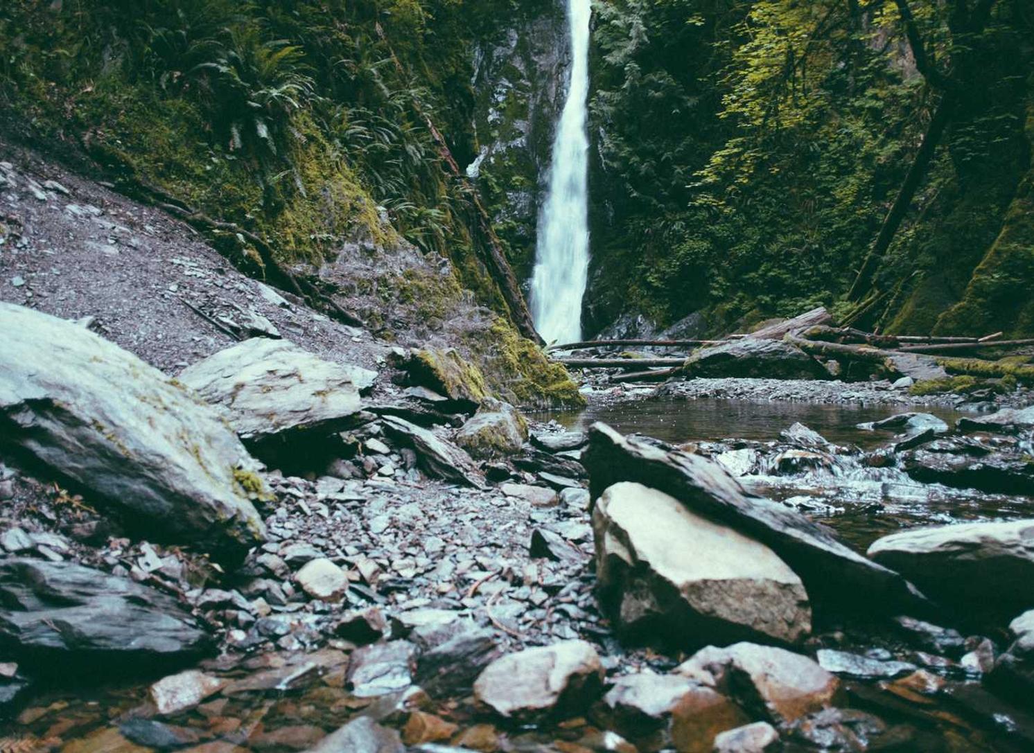 车智会app官方详情下载教程安装