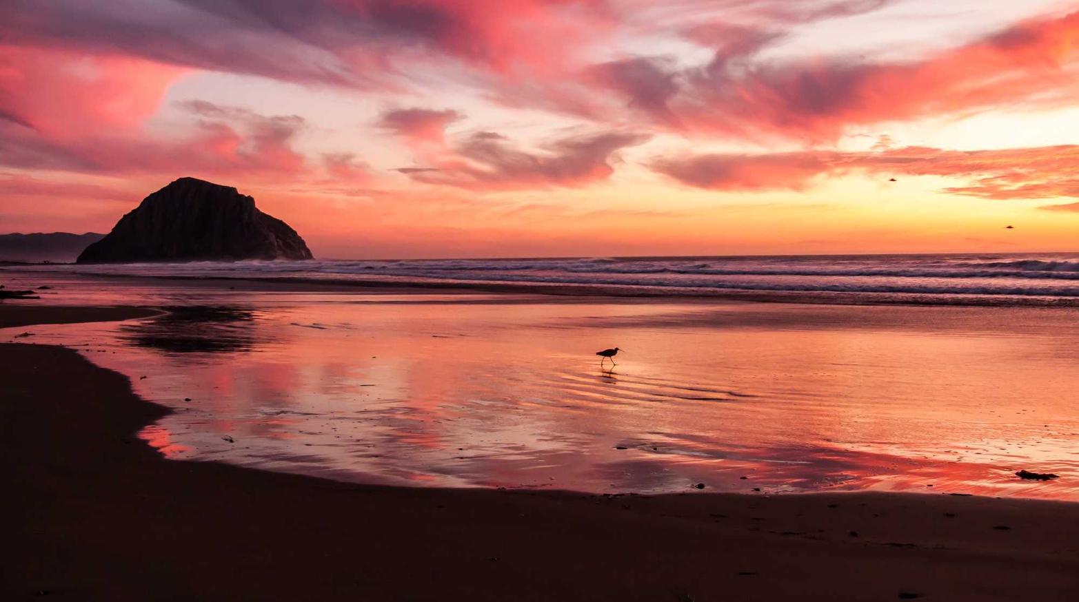 野草云实名账号:瑜伽365app详情下载教程