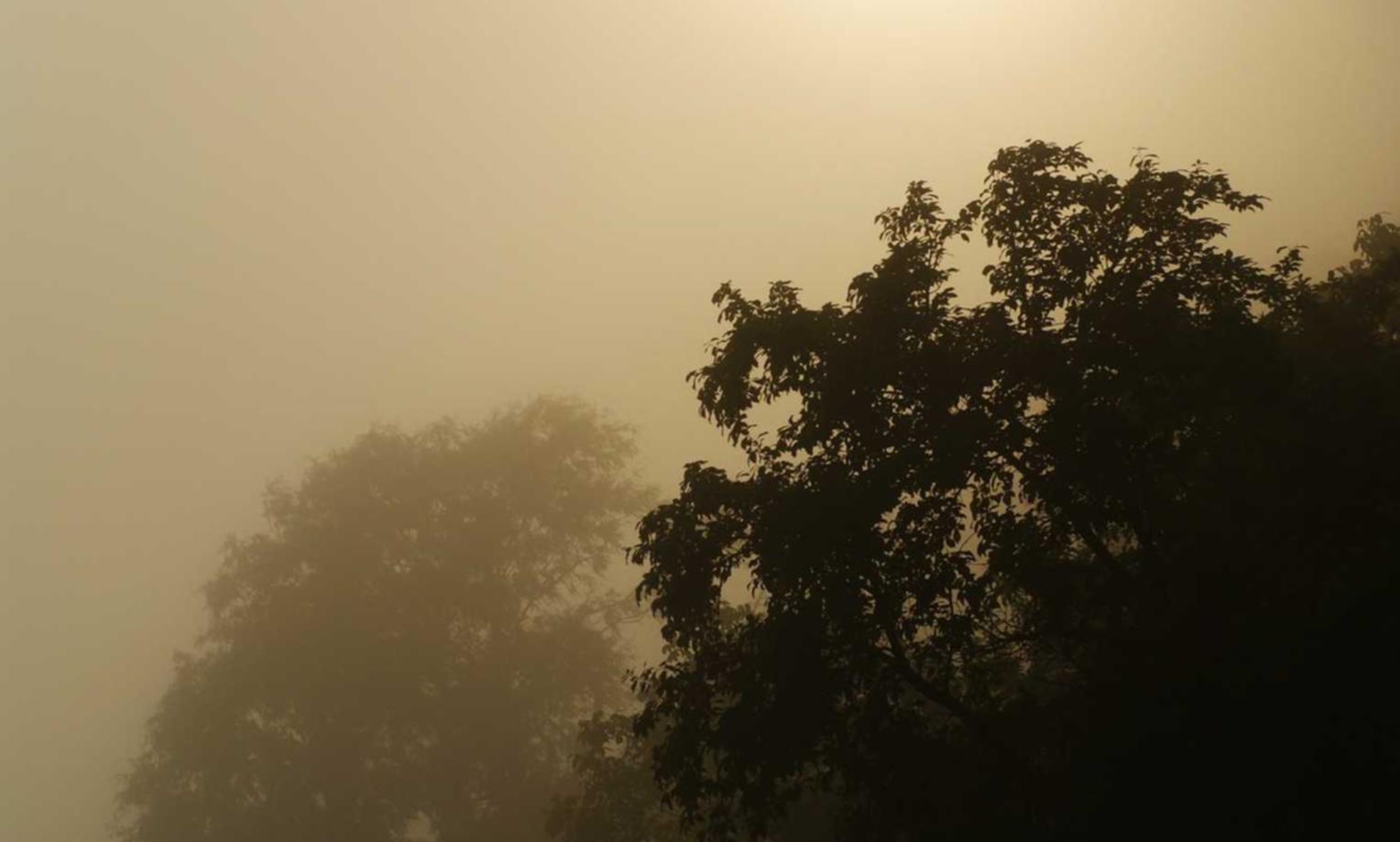 tcp攻击|舟山美国公司注册代理机构