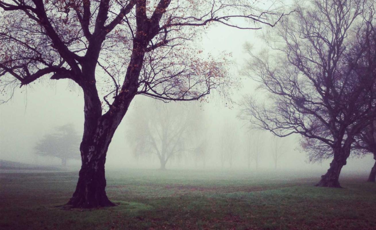 三网卡实名账号:瓯北独资公司代理注册