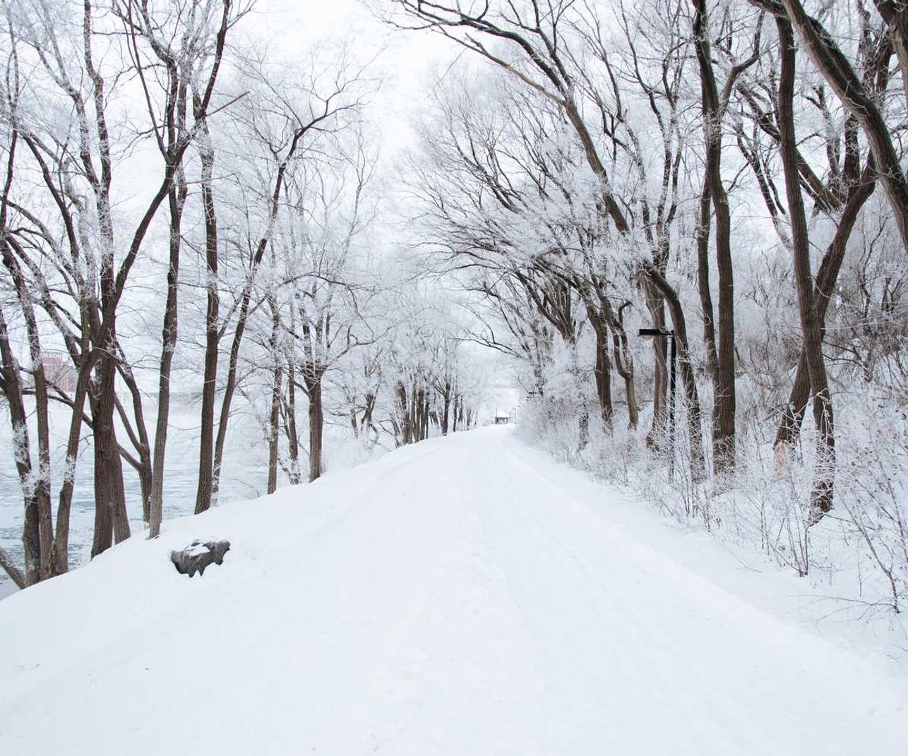 详情下载教程山东APP场所码