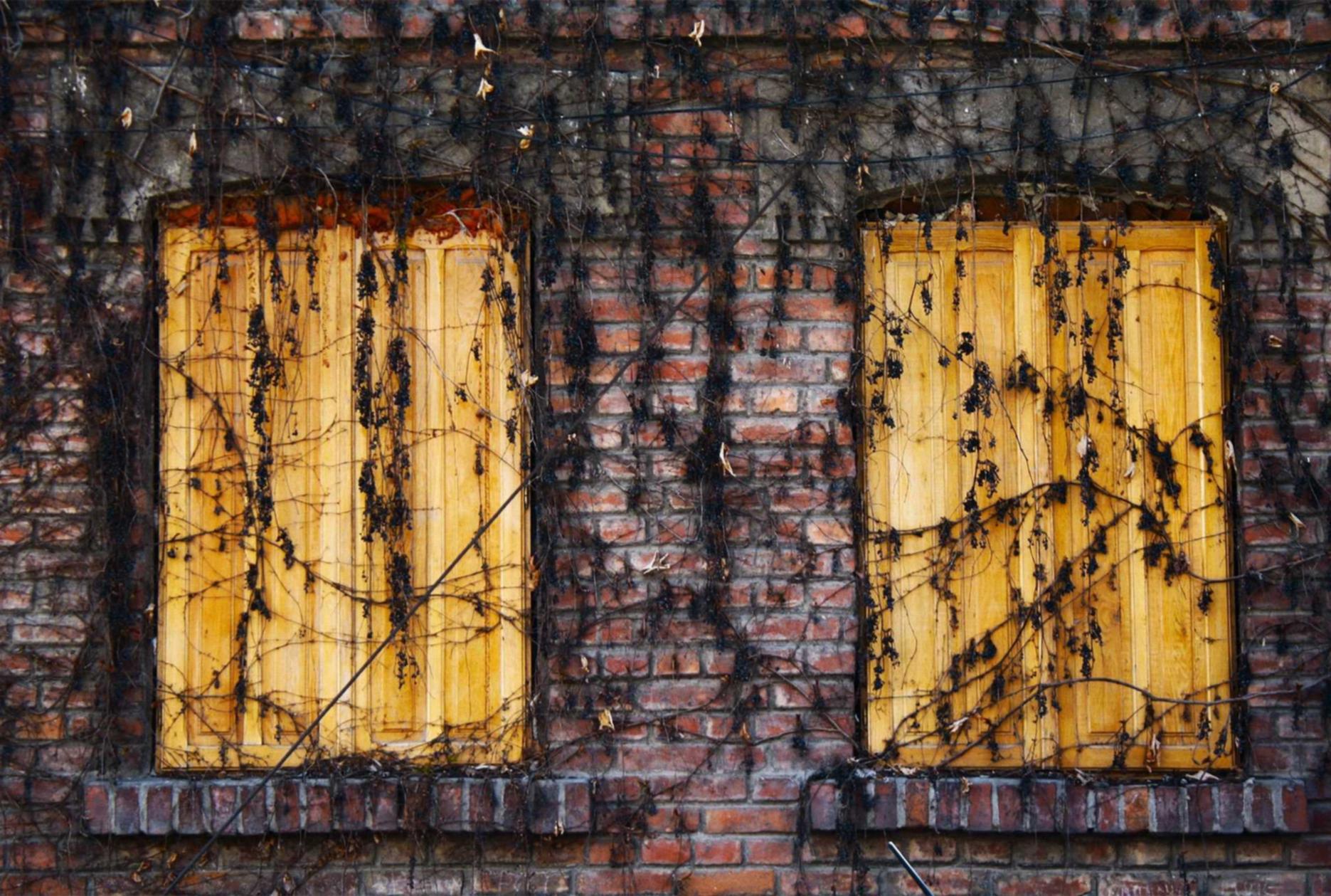 美团美卡实名账号：云顶手游拳头账号注册图