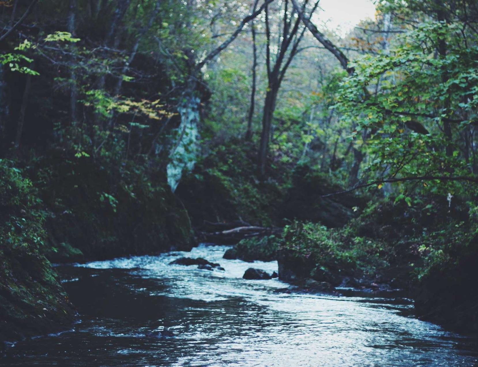技术支持辅助如何影响到游戏的交互性