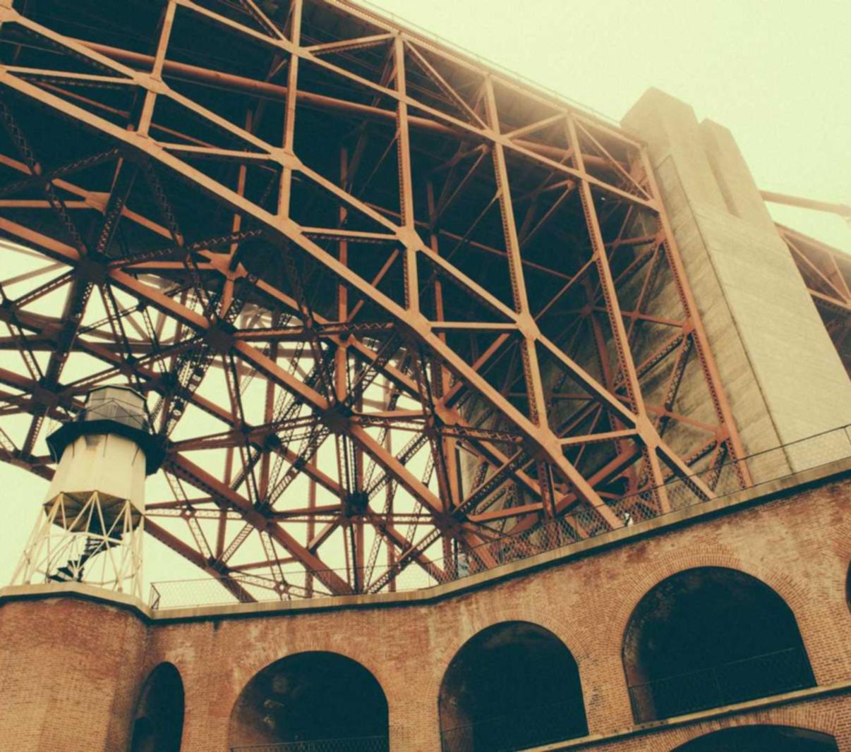 vtn详情下载教程app