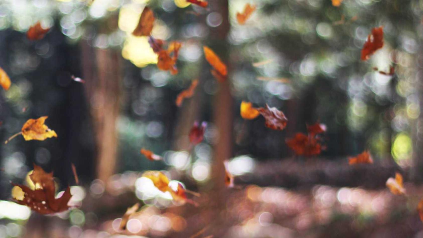 天地劫：平台代理充值上分是真的吗