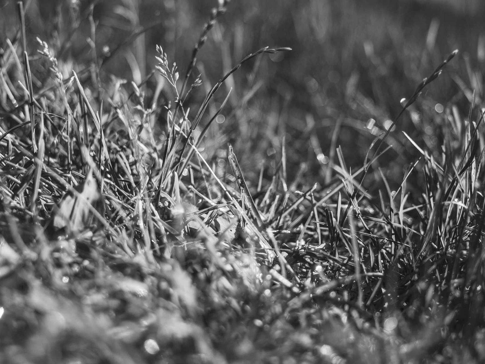 如何进行多语言SEO