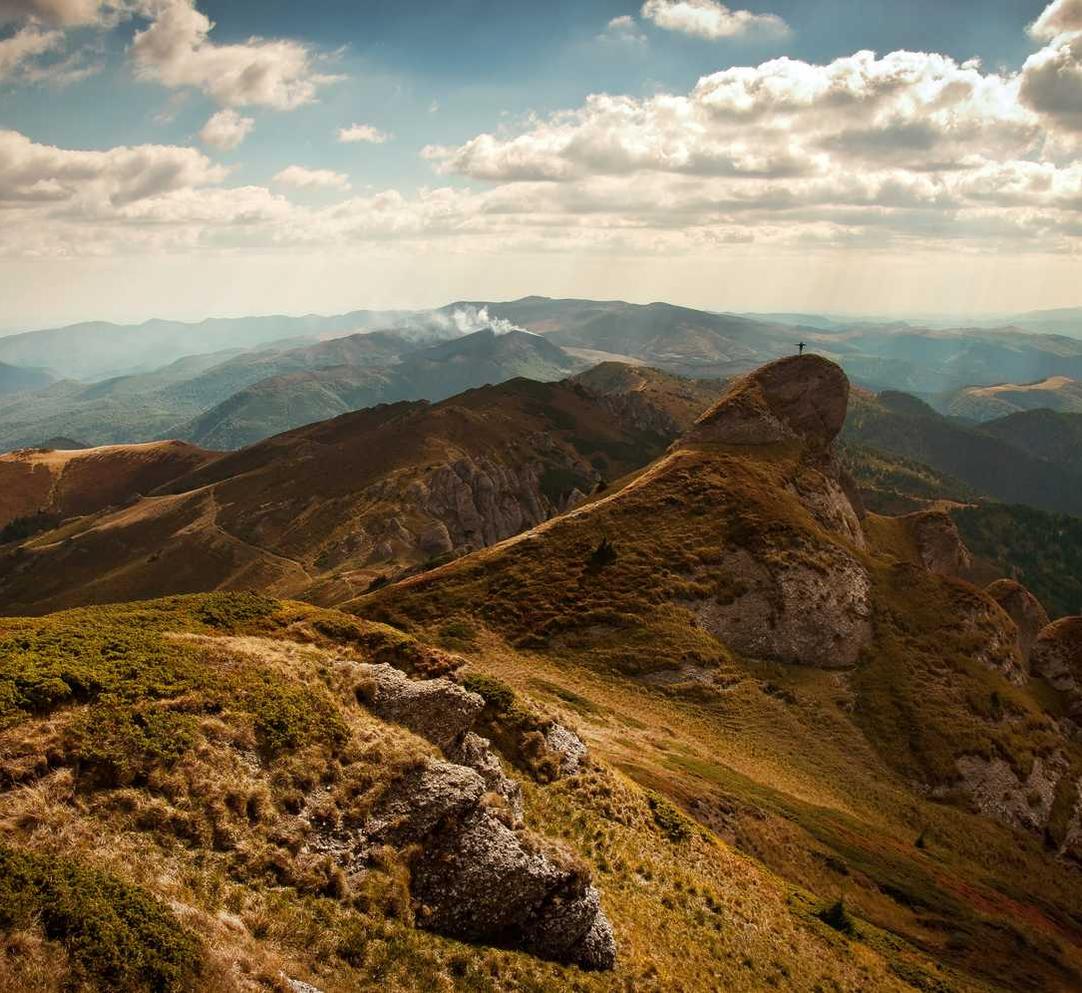 手机卡没信号无服务是什么原因- 阳光app详情下载教程