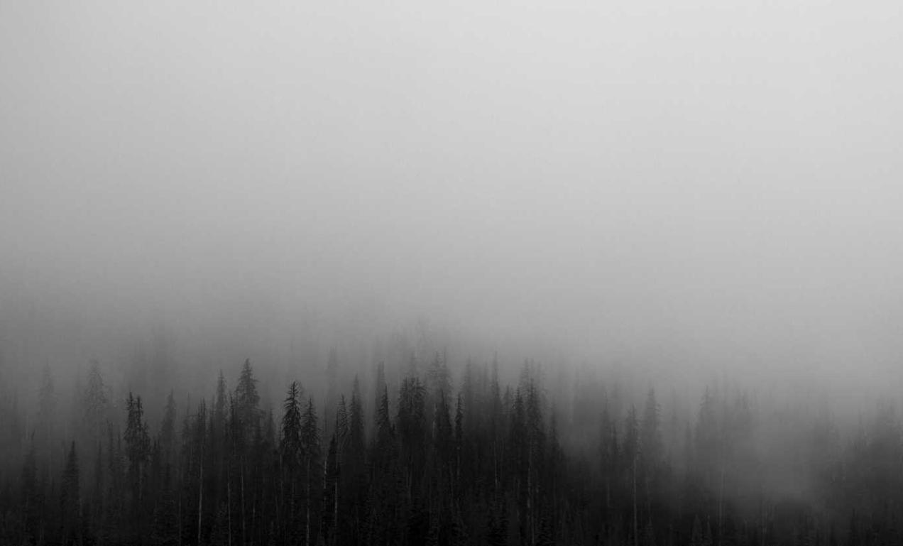 技术支持问题应该归咎于哪些玩家种类