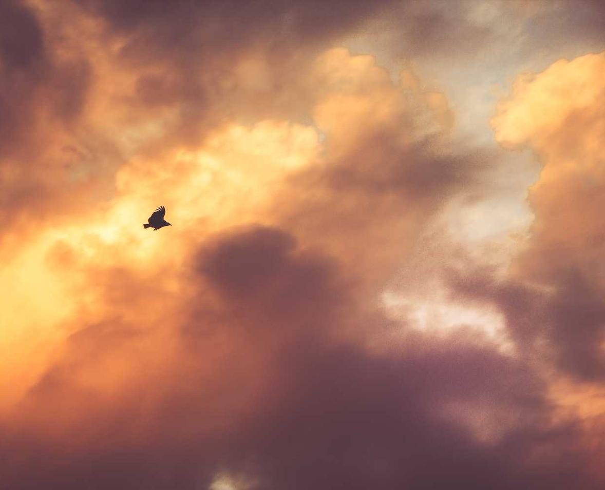 个人流量卡- 雁滩注册代理