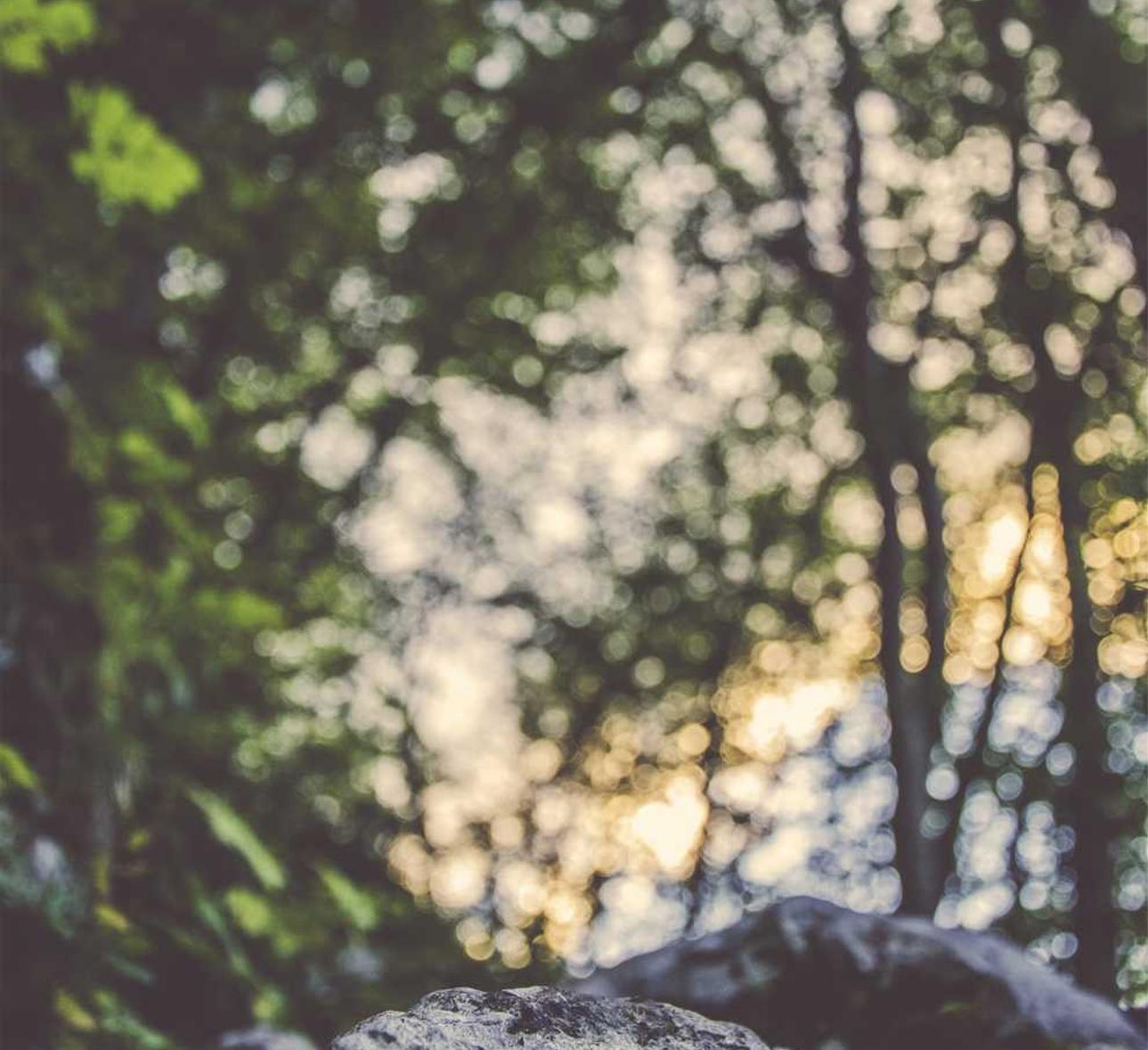 三牛无人机注册的登录账号是啥