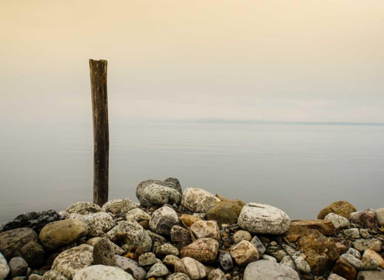 解读DDOS反编译攻击- 香草APP详情下载教程游戏软件